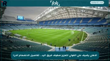 الأهلي يضيف علي الفولي لتعزيز صفوف فريق اليد.. تفاصيل الانضمام الآن!